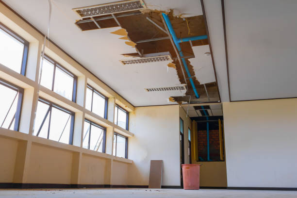 Best Commercial water damage restoration  in New Prague, MN