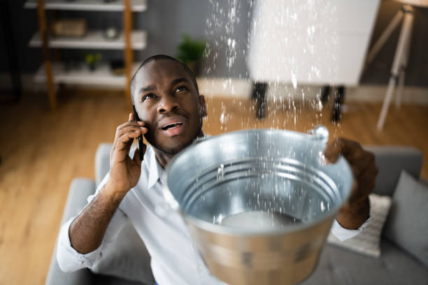 Water damage restoration insurance claims in New Prague, MN