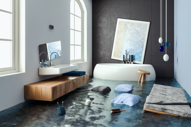 New Prague, MN Water damage restoration Company