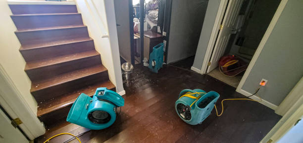 Best Water damage restoration near me  in New Prague, MN