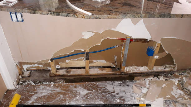 Best Mold removal after water damage  in New Prague, MN