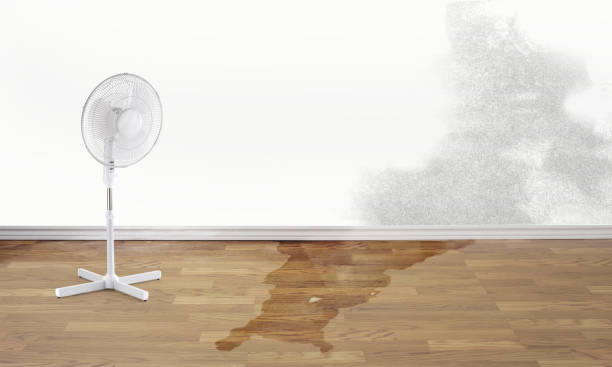 Fire Damage Restoration in New Prague, MN