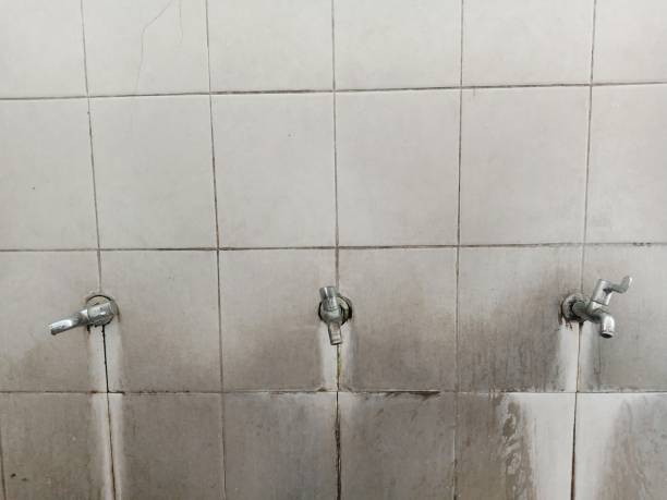 Best 24-hour water damage restoration  in New Prague, MN