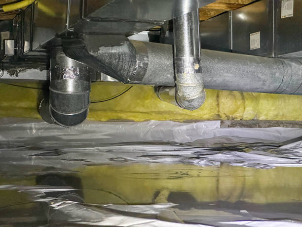 Best Water damage restoration insurance claims  in New Prague, MN