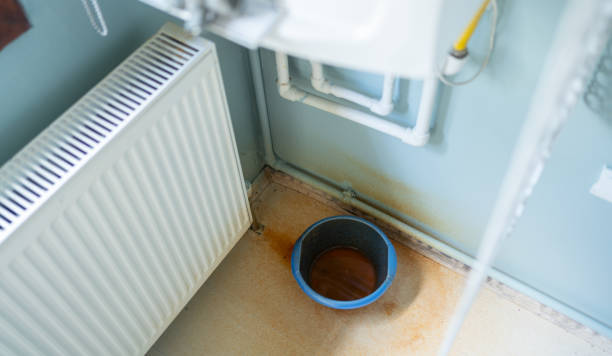 Best Professional water damage repair  in New Prague, MN