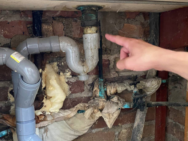 Best Flood damage cleanup  in New Prague, MN